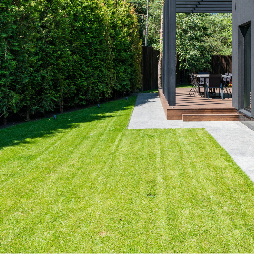 Lawn Mowing Service NSW