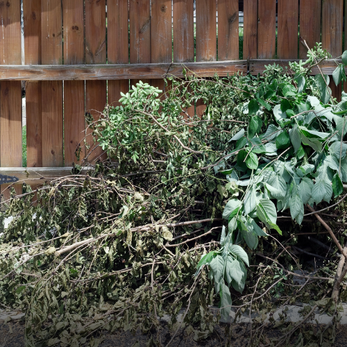 Waste Removal Service NSW